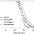 Royal Jelly Has Lifespan-Extending Effect