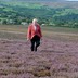 Apitherapy Research Center to be Established in U.K.