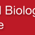 Bee Venom Component May Help Prevent Liver Fibrosis