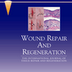 Honey-Coated Bandages Comparable to Conventional Treatment of Malignant Wounds