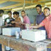Apitherapy Products Promoted in Fiji