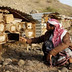 Honey, Bee Venom Used for Medicinal Purposes in Mideast