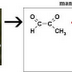 Methylglyoxal (MGO) Blocks Antibacterial Activity of Defensin1 in Honey