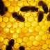 New Technology to Protect NZ's Manuka Honey