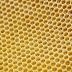 Secrets of Bee Honeycombs Revealed